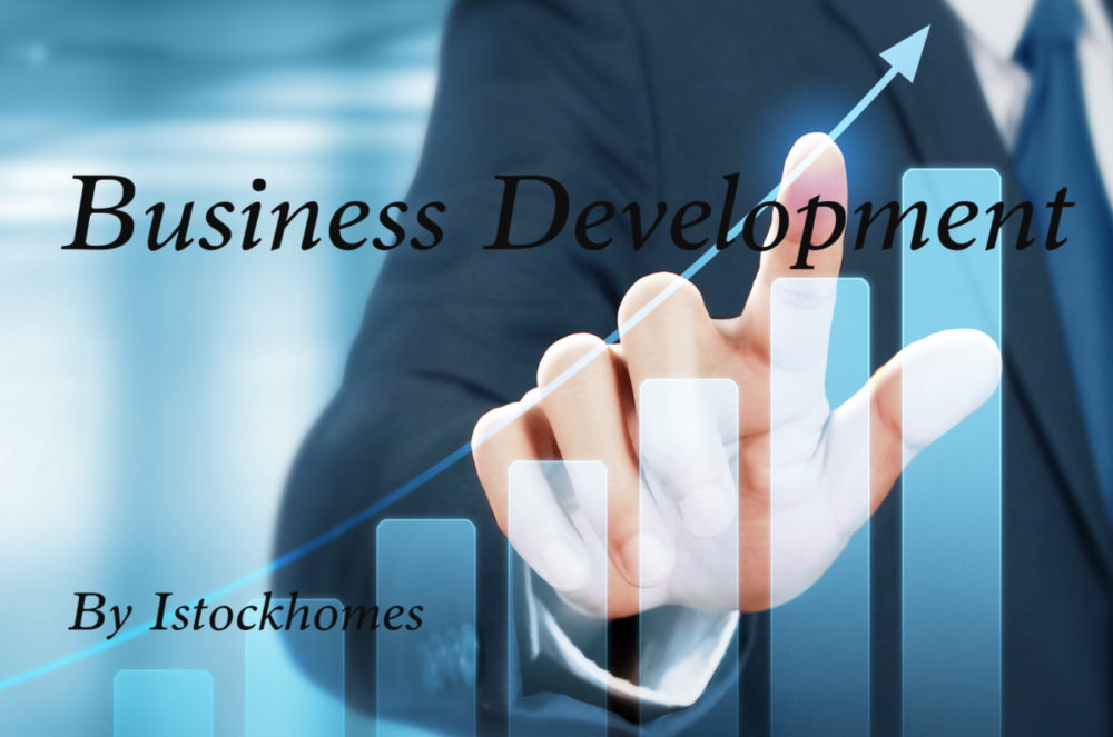 Business-Development-by-Istockhomes (1)